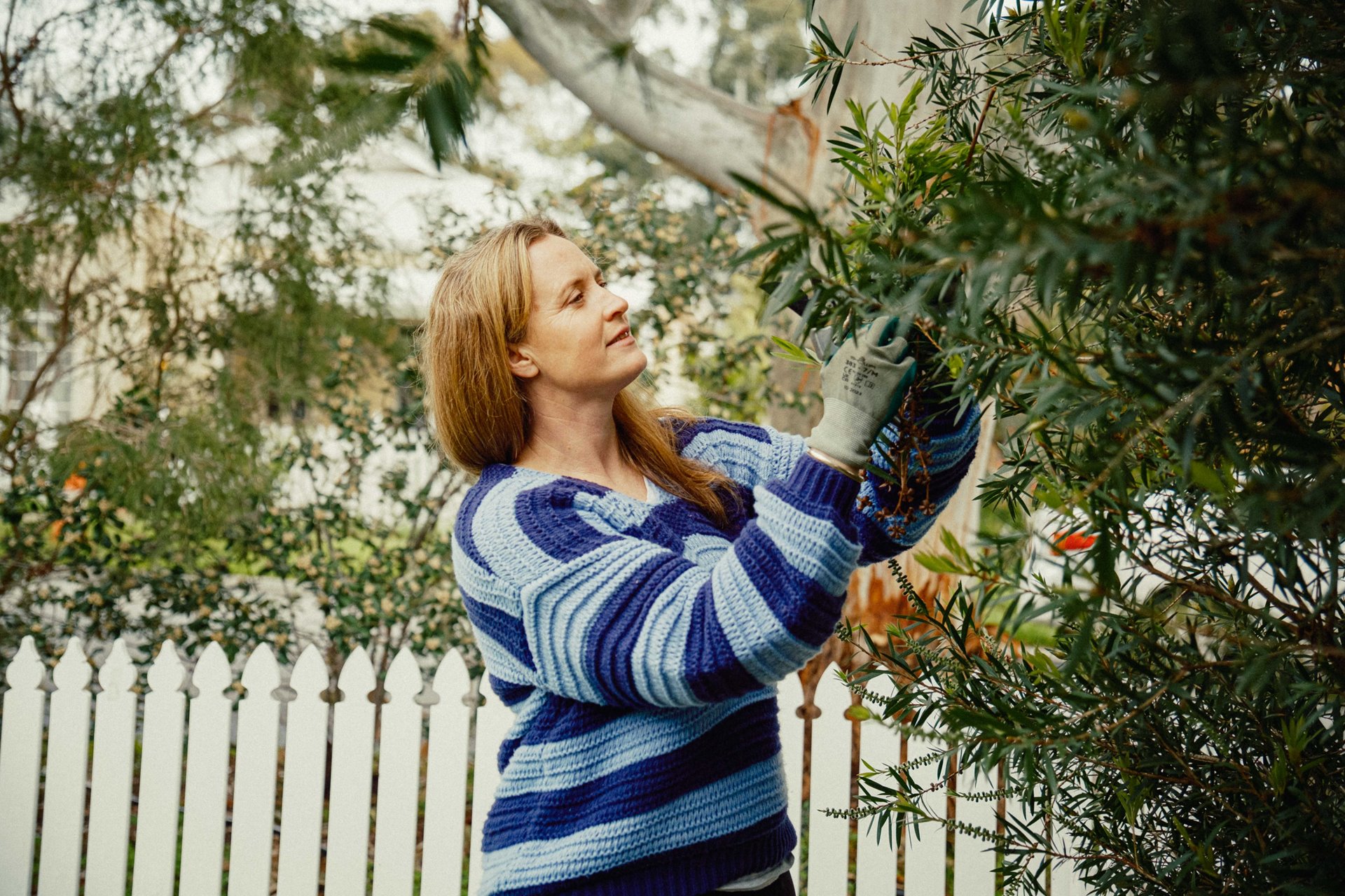 BulkGreenWaste-9875.jpg BulkGreenWaste-9875.jpg