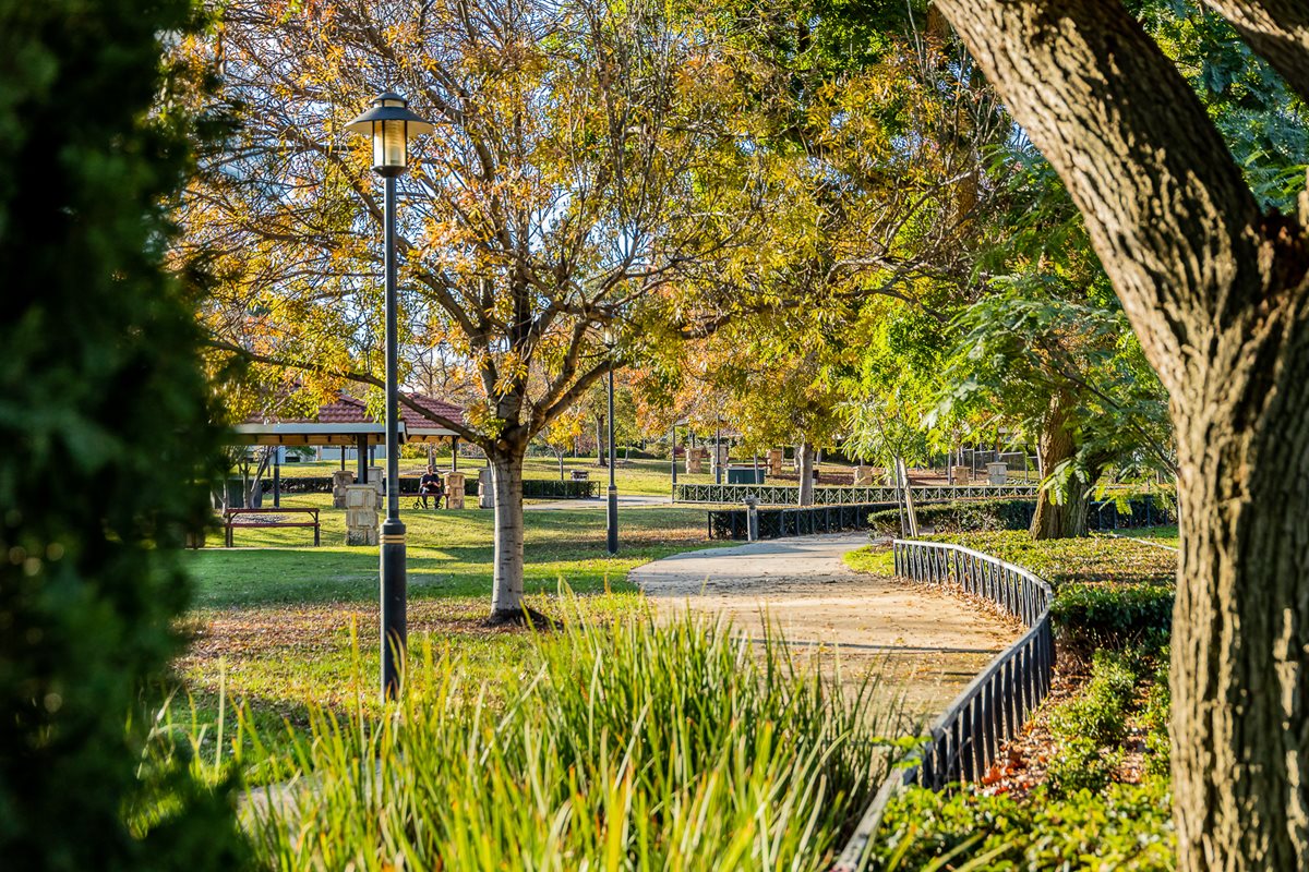 Explore Subi's beautiful parks this summer City of Subiaco