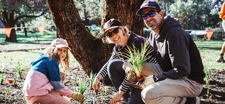 NationalTreeDay 6221