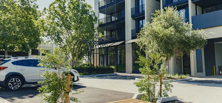 DukeStRainGarden 5969