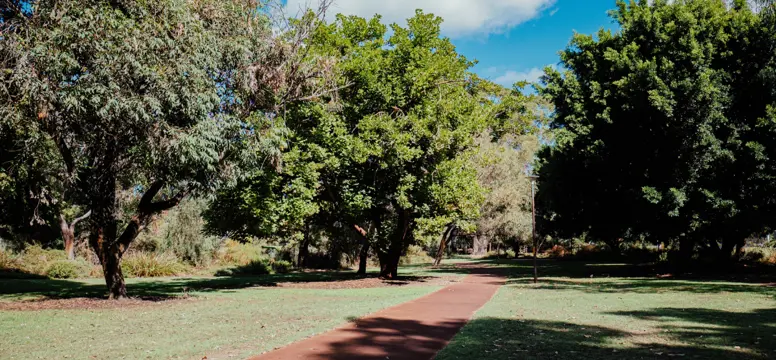 Trees (2)