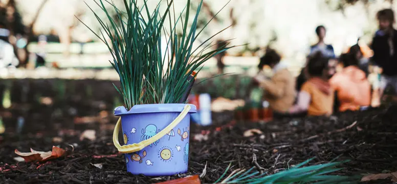 NationalTreeDay 6251