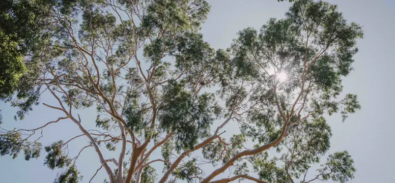 RupertStPocketPark-08420.jpg