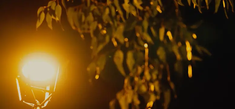 Amber light 1