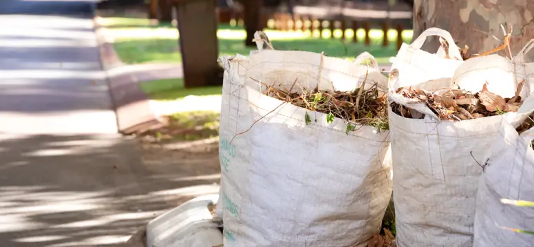Green waste on verge