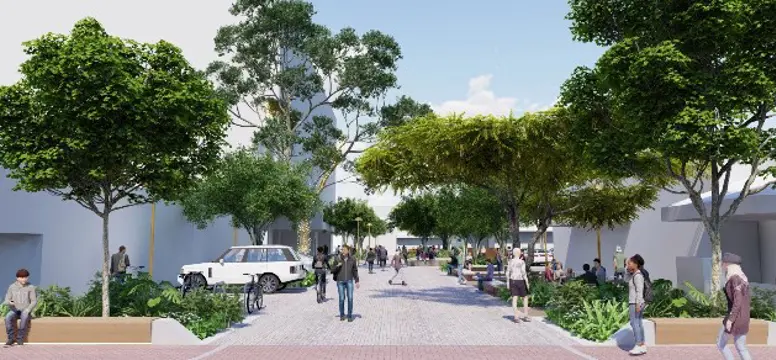 Seddon