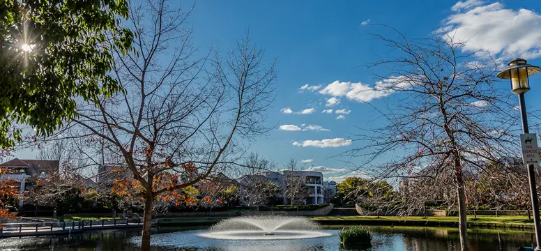 Subiaco Common lake