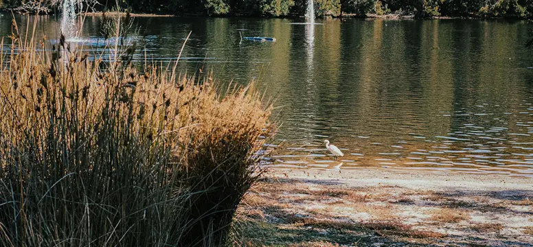 LakeJualbup 2226