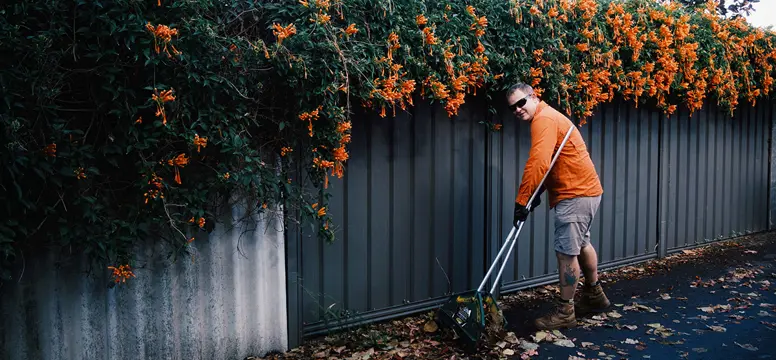 LanewayPruning Parks 6184