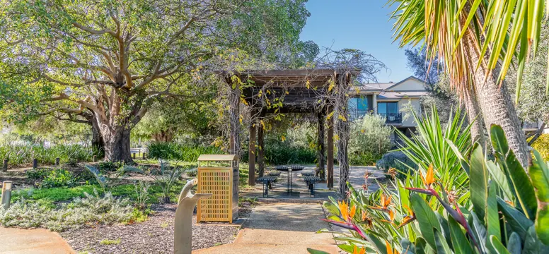 Dom Serra Grove_Jolimont_03