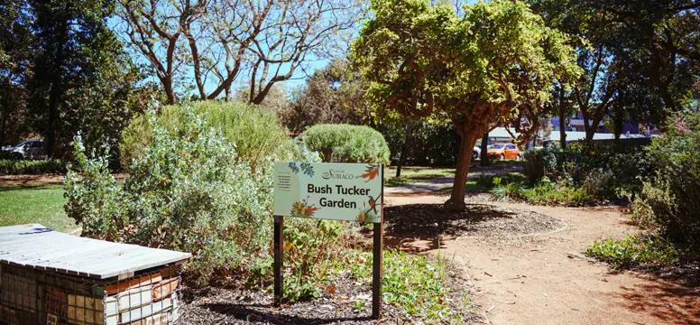 Bushtuckergarden Nativeplants Signage 00163