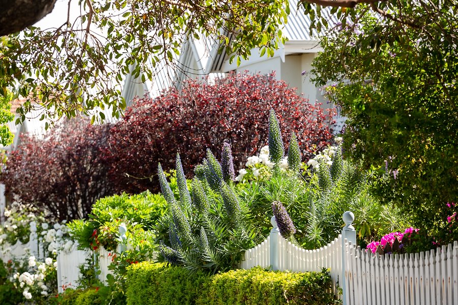 Spectacular-garden-foliage-picket-fence.jpg