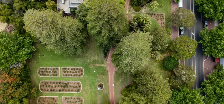 Drone shots (1)