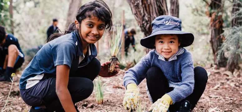 NTD JolimontPrimary 6684