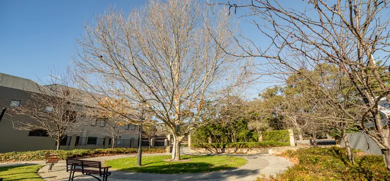 St Thomas Square_Subiaco_