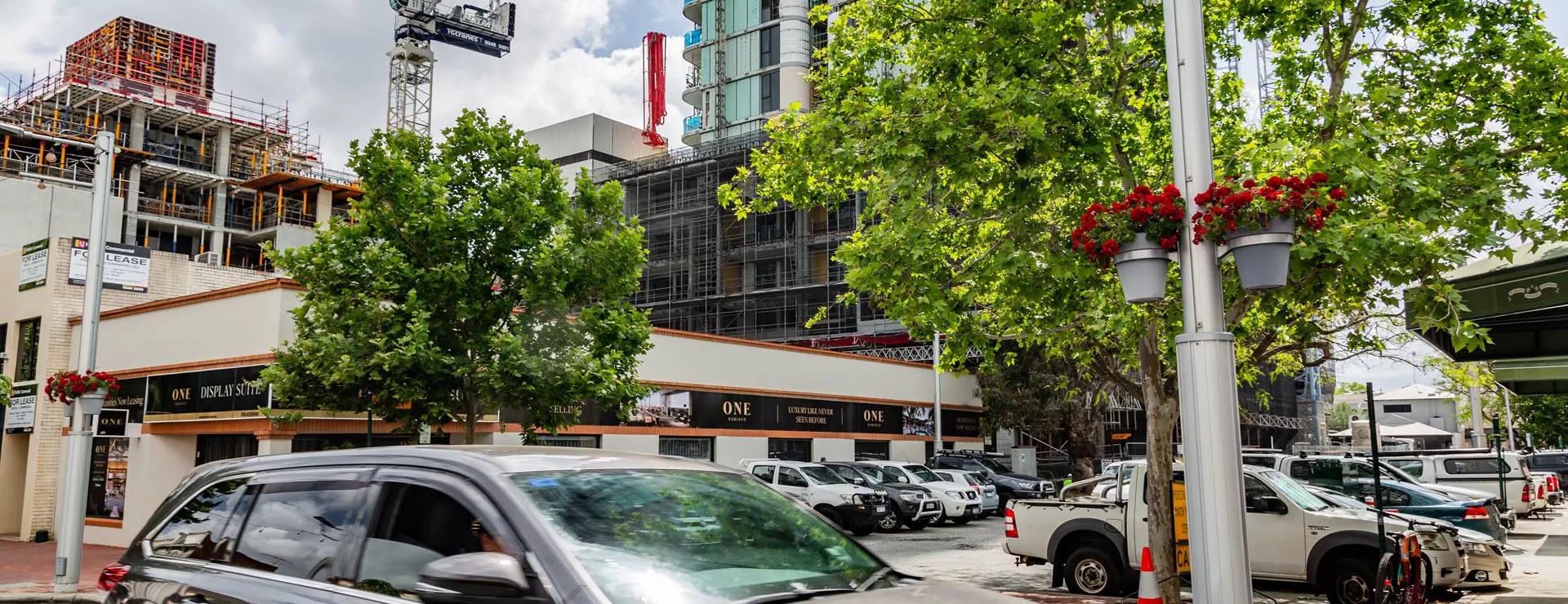 Seddon-Street-w-Blackburne.jpg