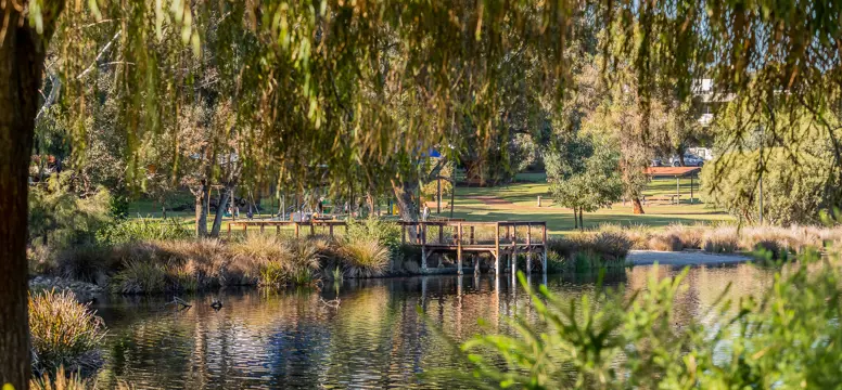 Lake Jualbup_Shenton Park_21