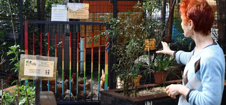 Earthwise partnership