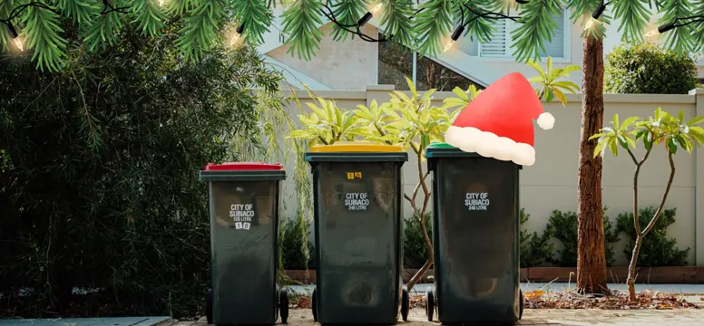 ChristmasFOGO