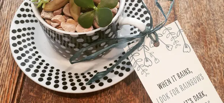 242490166_1610951209257109_5078922848797522059_n