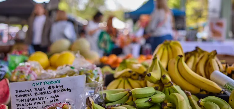 AVPH7532_SocoStudios_1