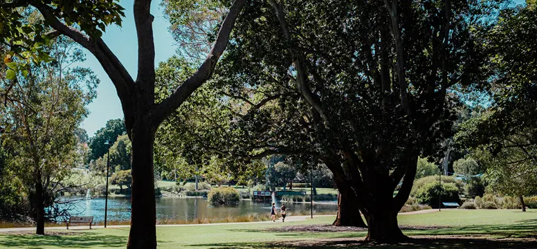 LakeJualbup 2197