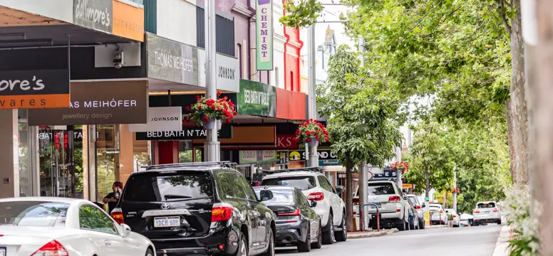 Rokeby Road streetscape (2)
