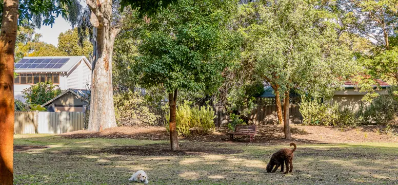 Rankin Road Reserve_Shenton Park_04