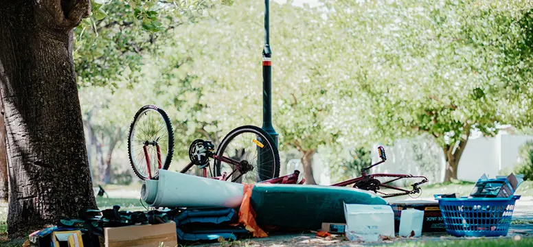 BulkWasteCollection 1491