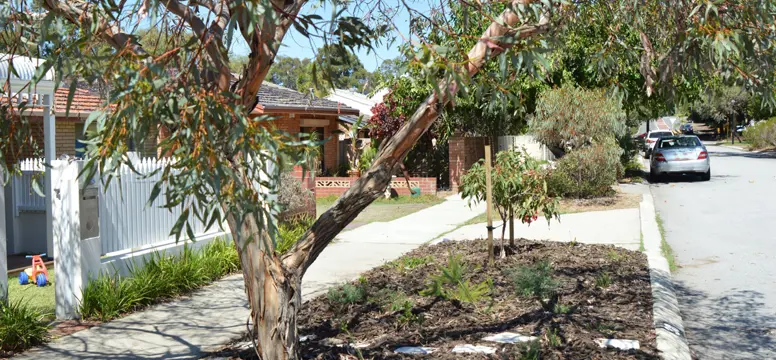 Verge Restoration Project March 2019
