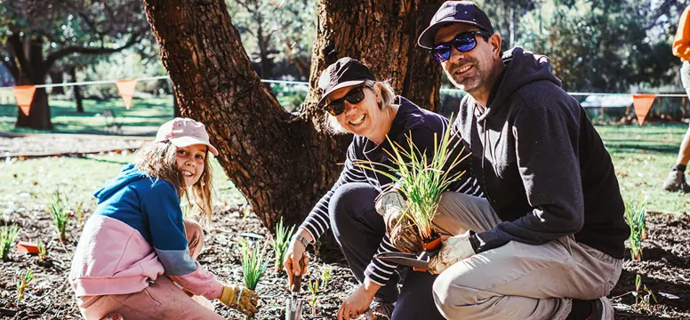 NationalTreeDay 2023