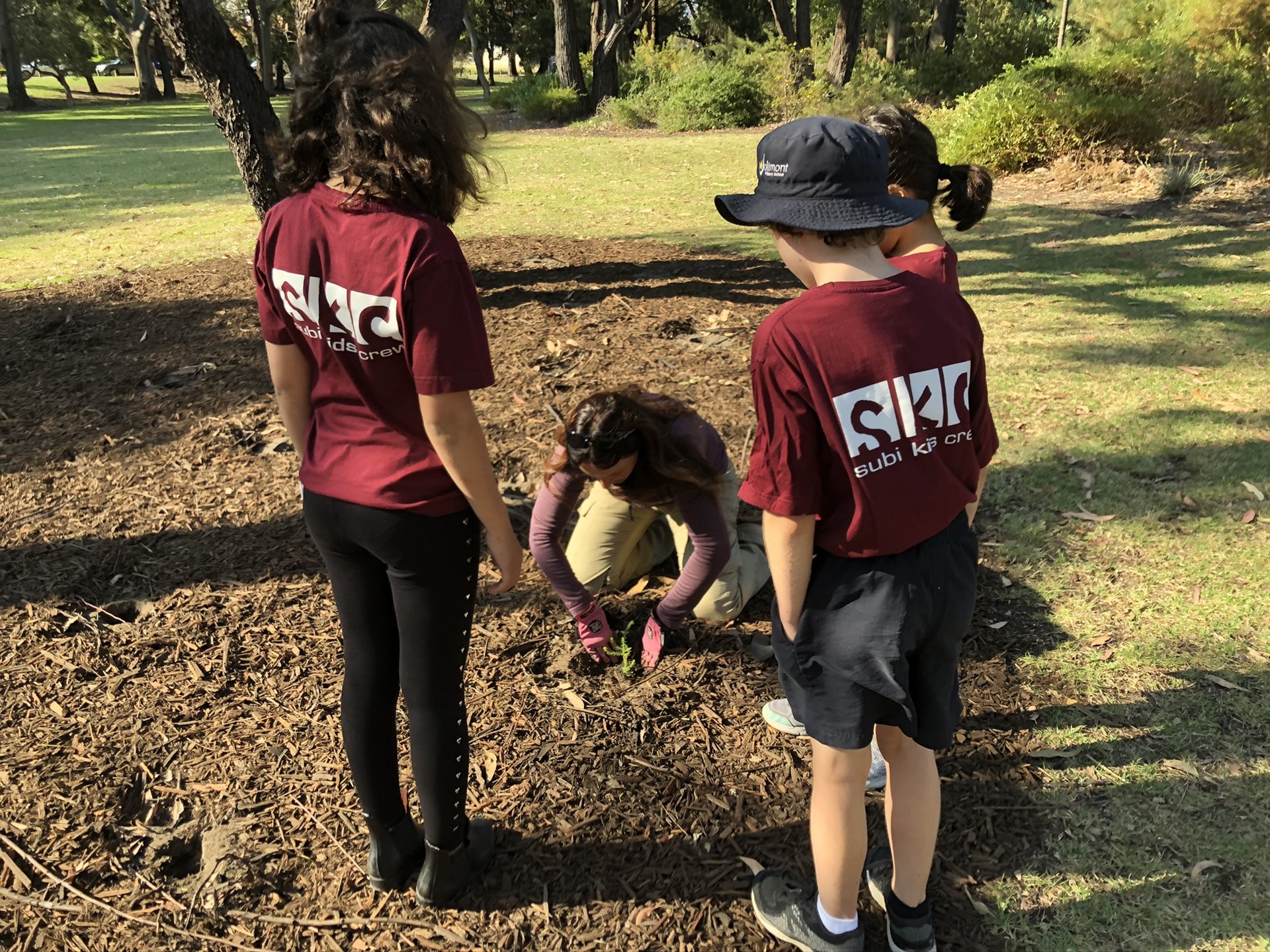 Children planting plants in the park