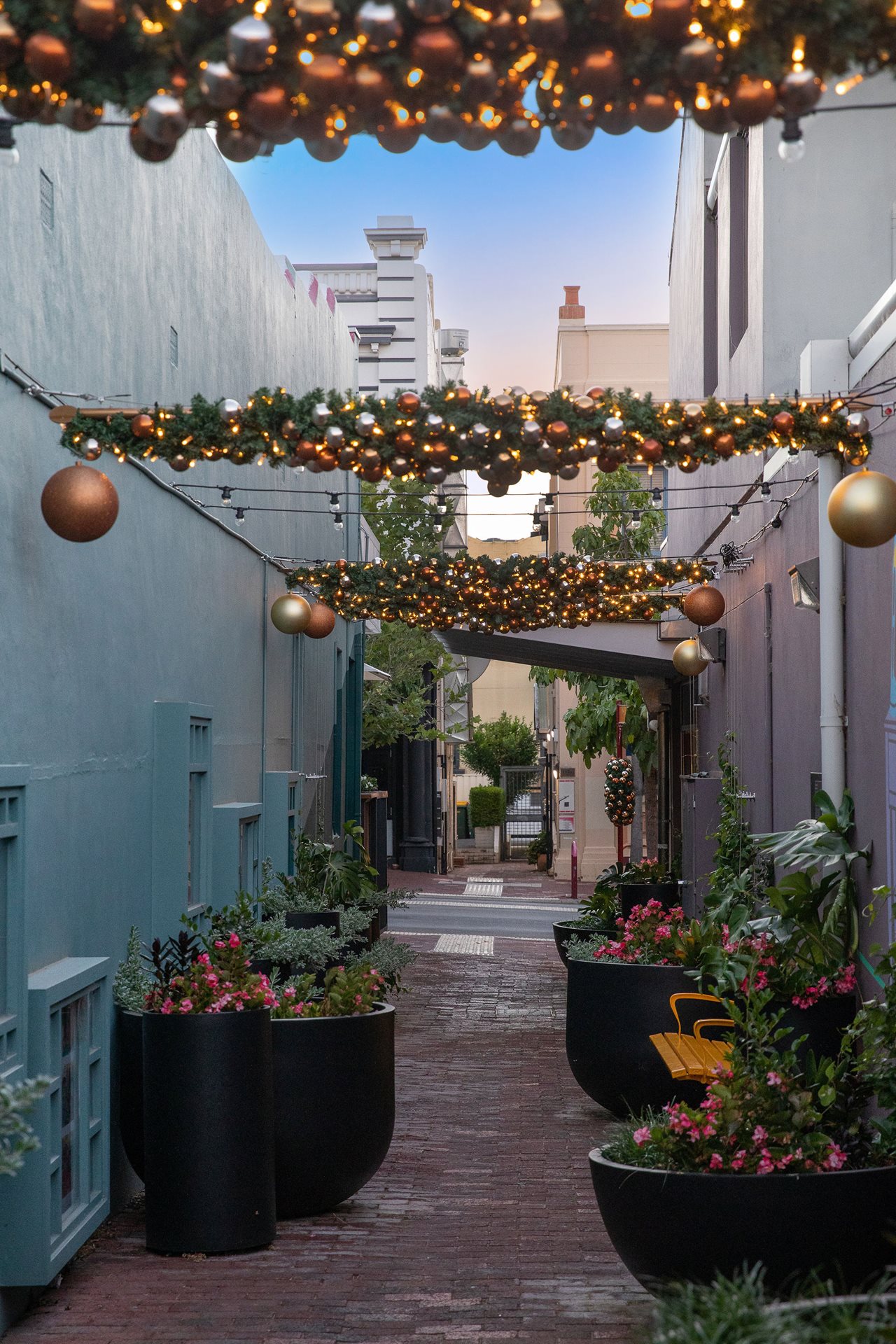 Laneway dressed up for Christmas
