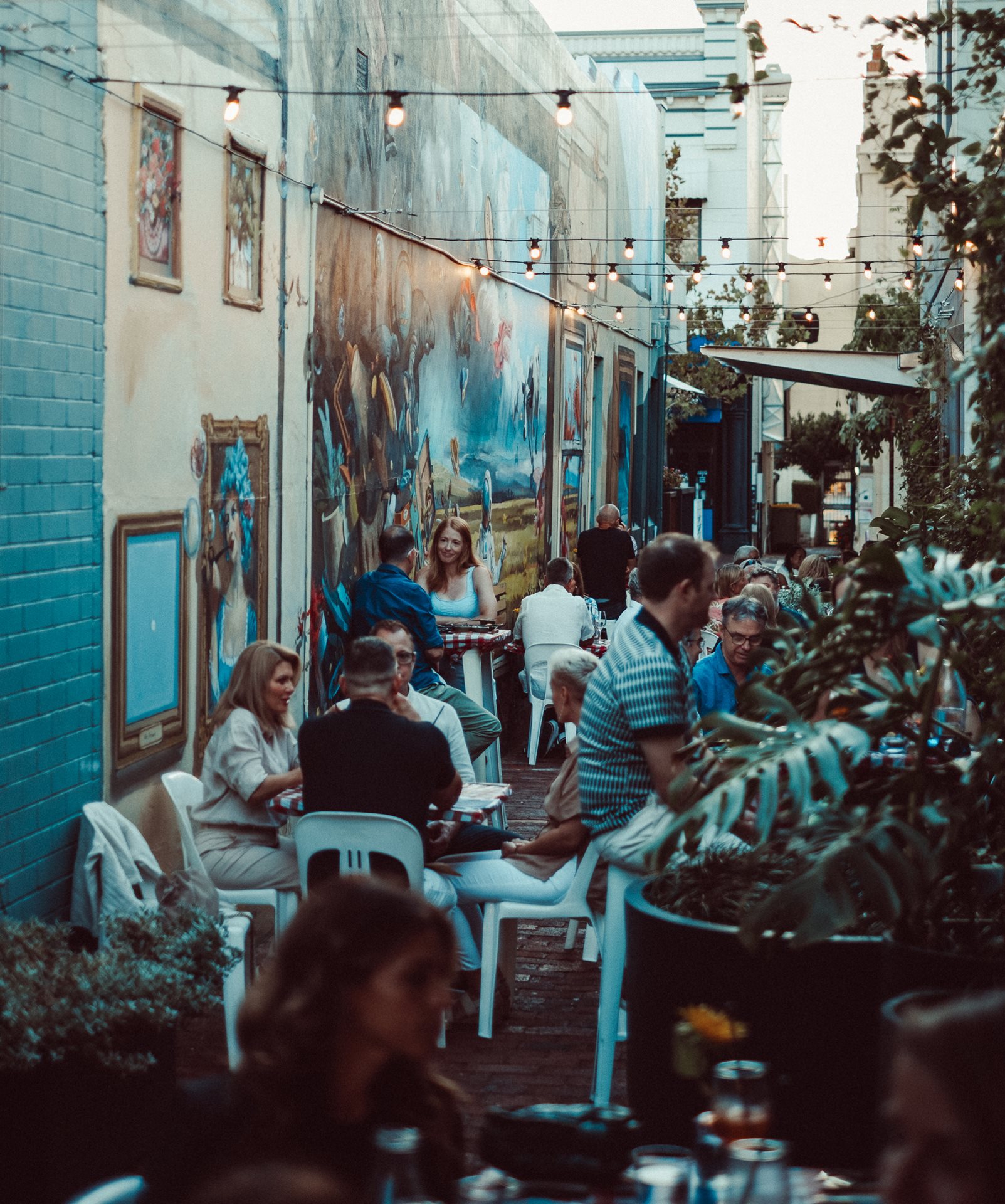 Image of laneway filled with plants Image of laneway filled with plants