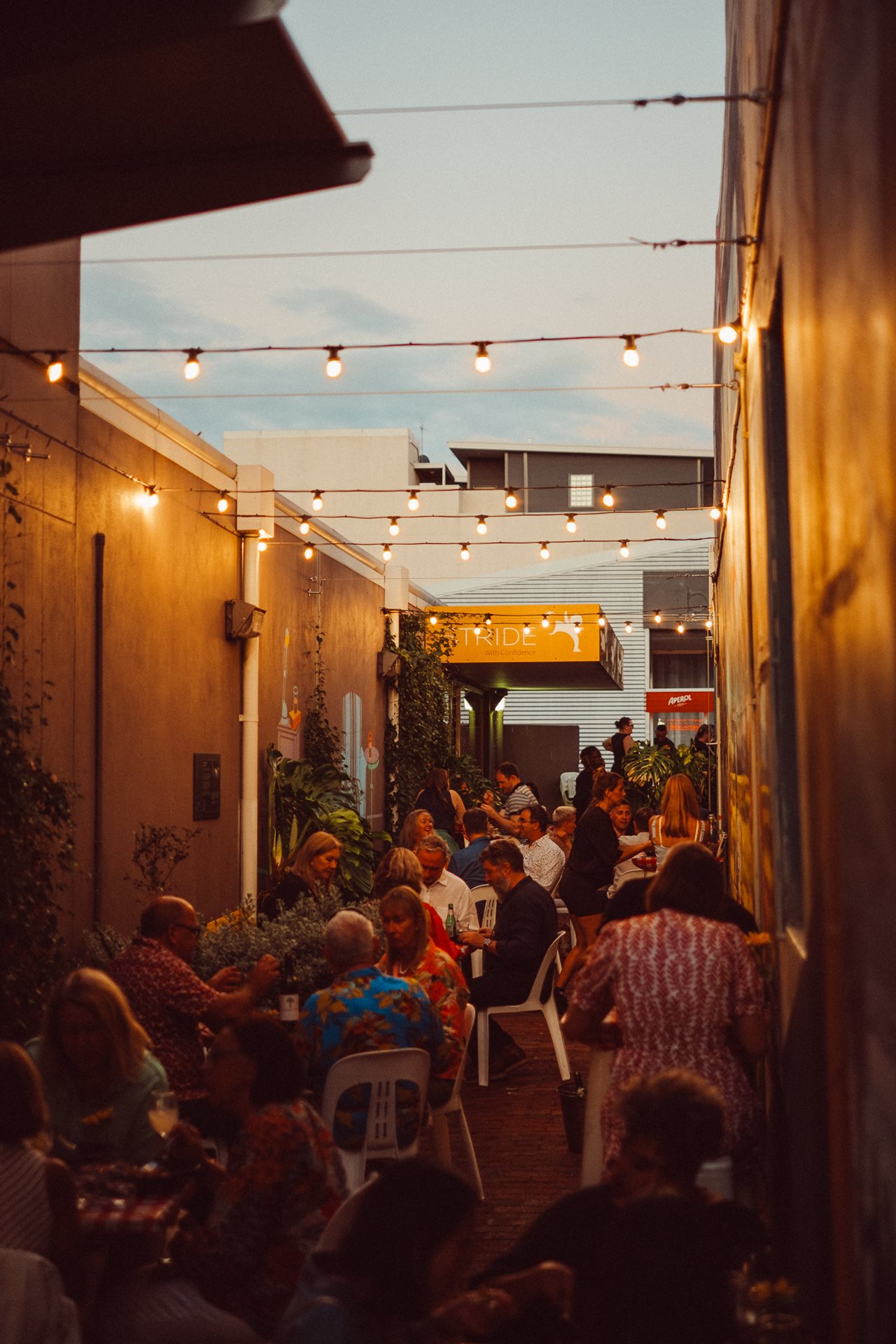 Laneway dressed up for Christmas