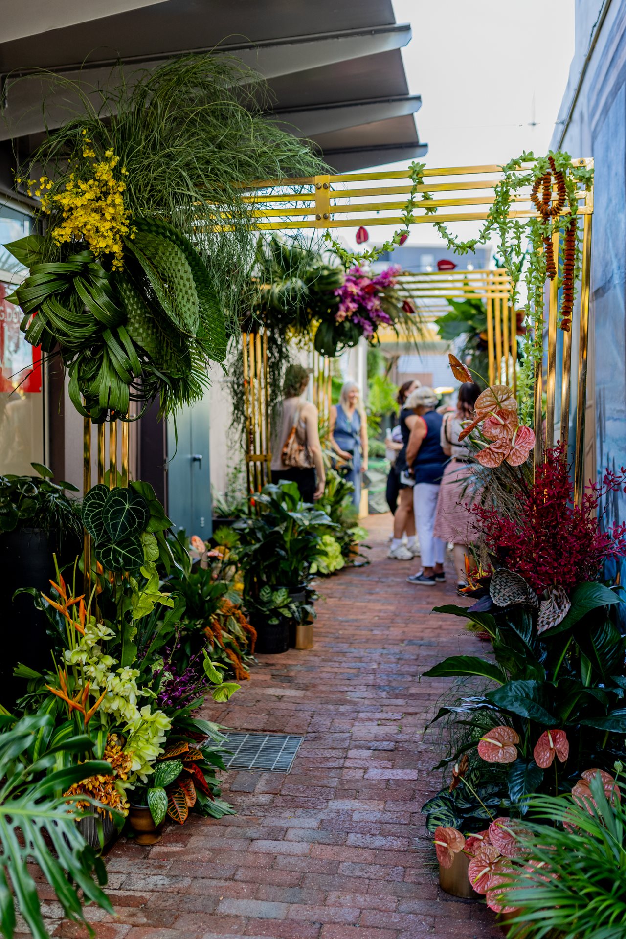 Image of laneway filled with plants