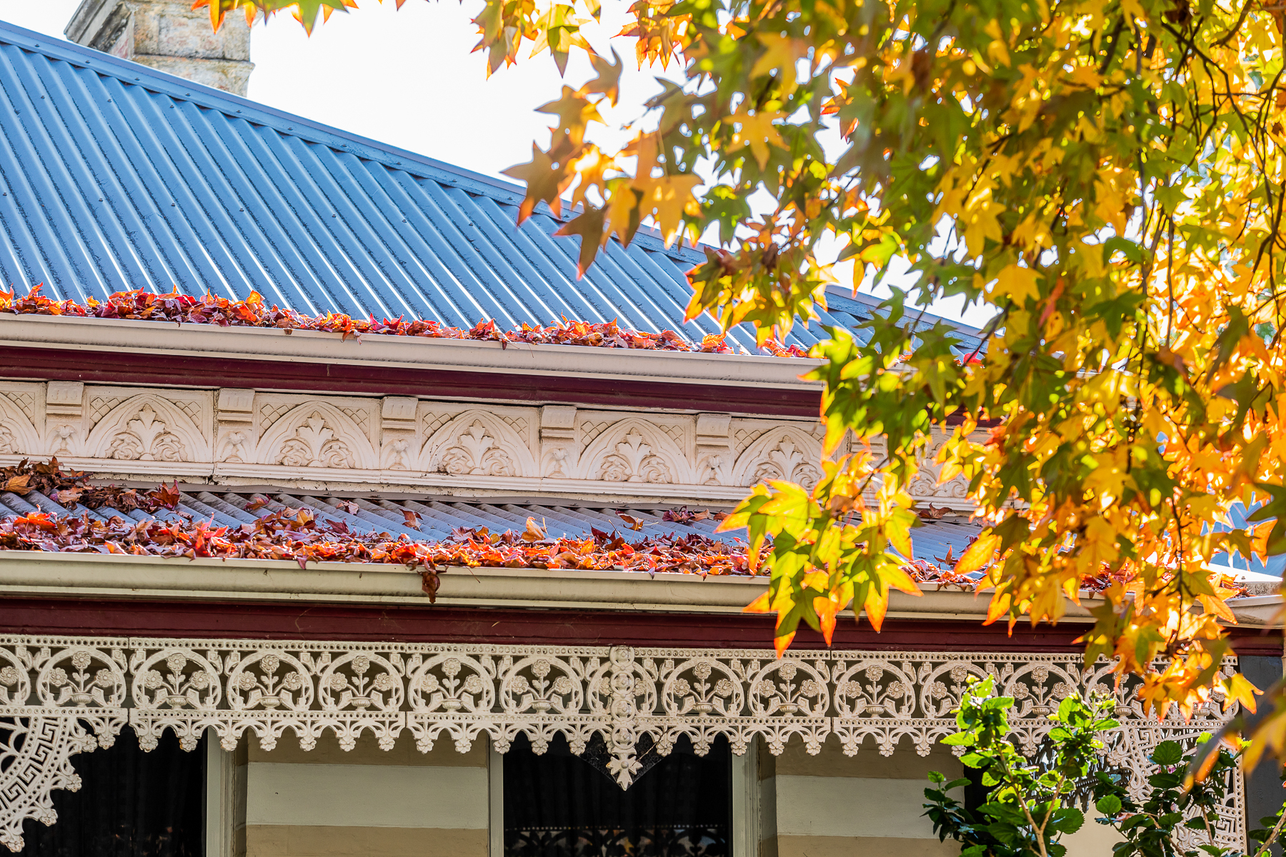 Pretty metal roof on a heritage house