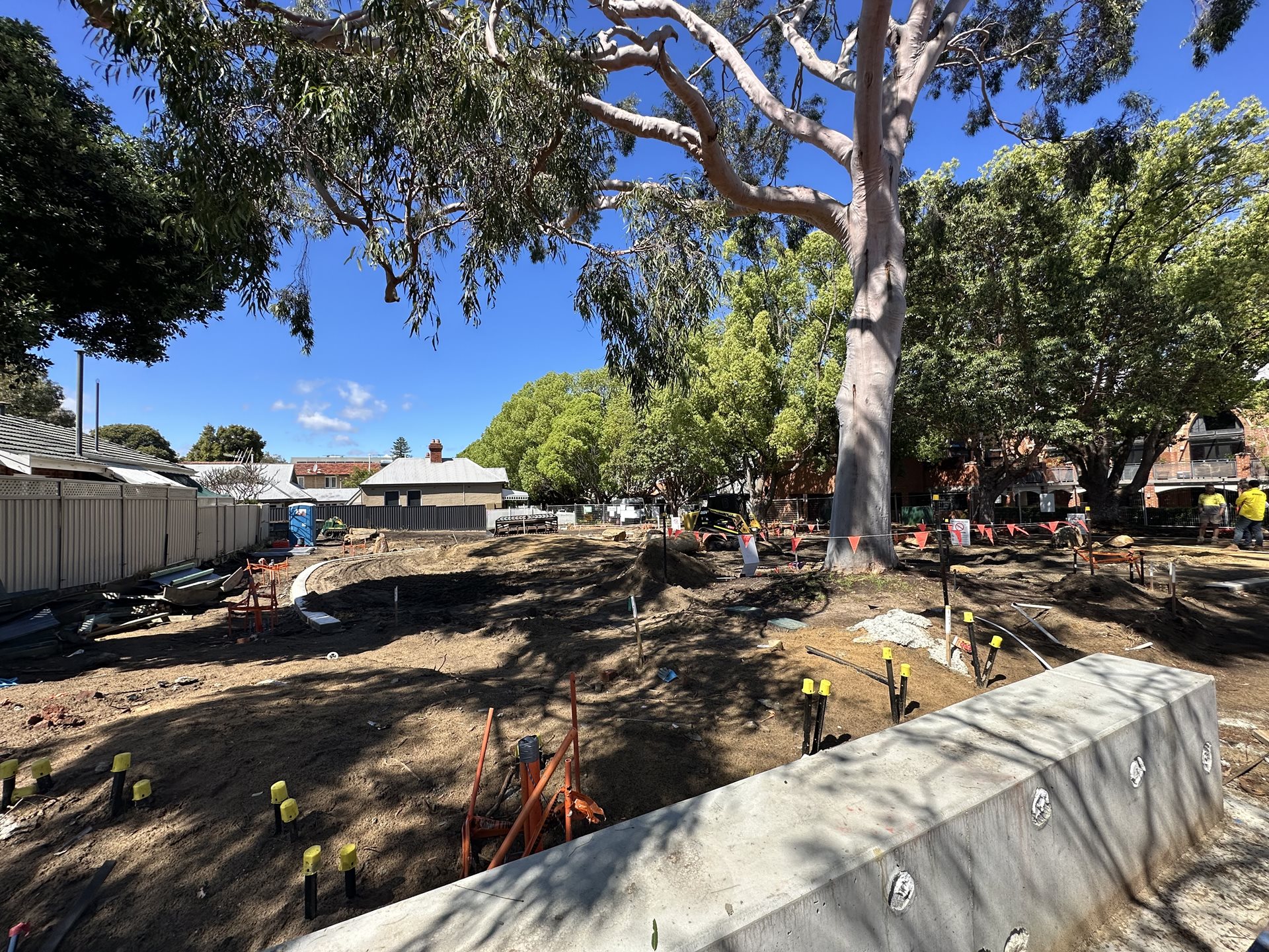 Week 6 Progress Images