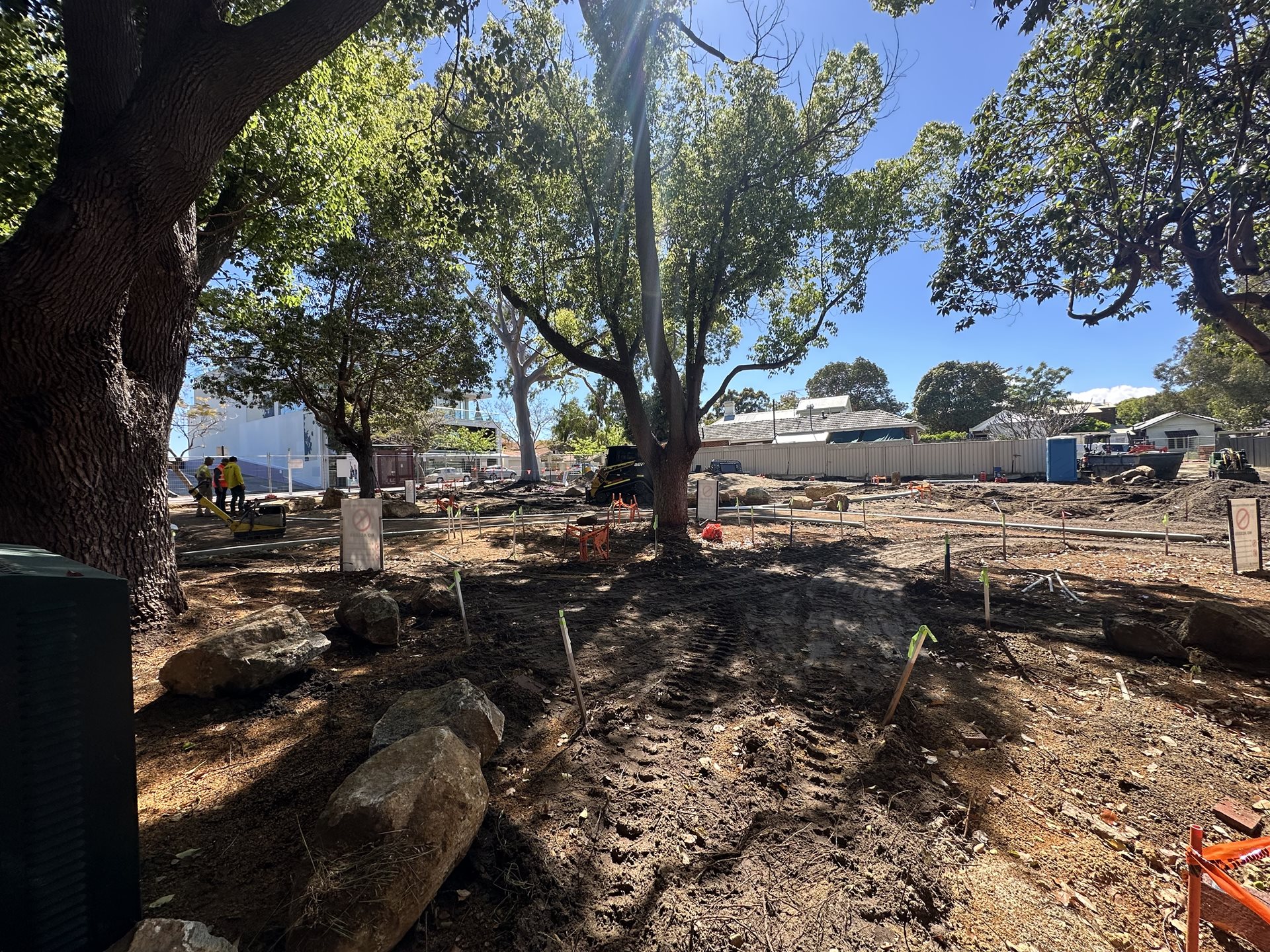 Week 6 Progress Images